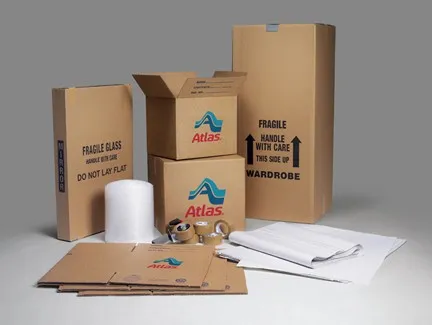 Ace Moving Logo Star Only